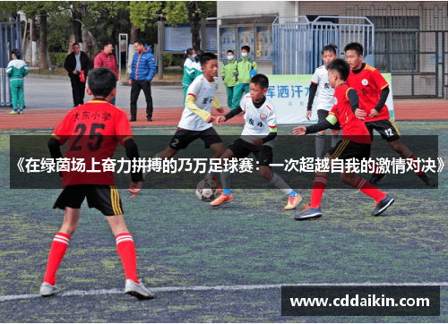 《在绿茵场上奋力拼搏的乃万足球赛：一次超越自我的激情对决》