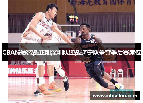 CBA联赛激战正酣深圳队迎战辽宁队争夺季后赛席位